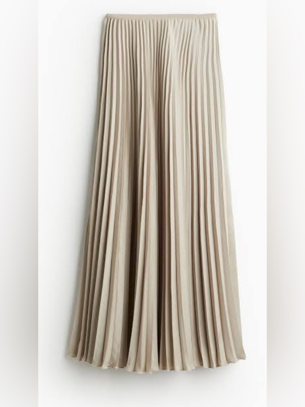 H&M Gray Pleated Maxi Skirt